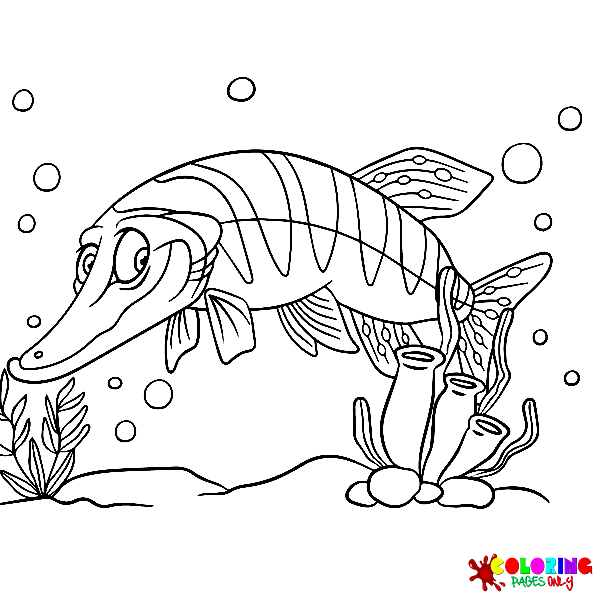 Pike Coloring Pages