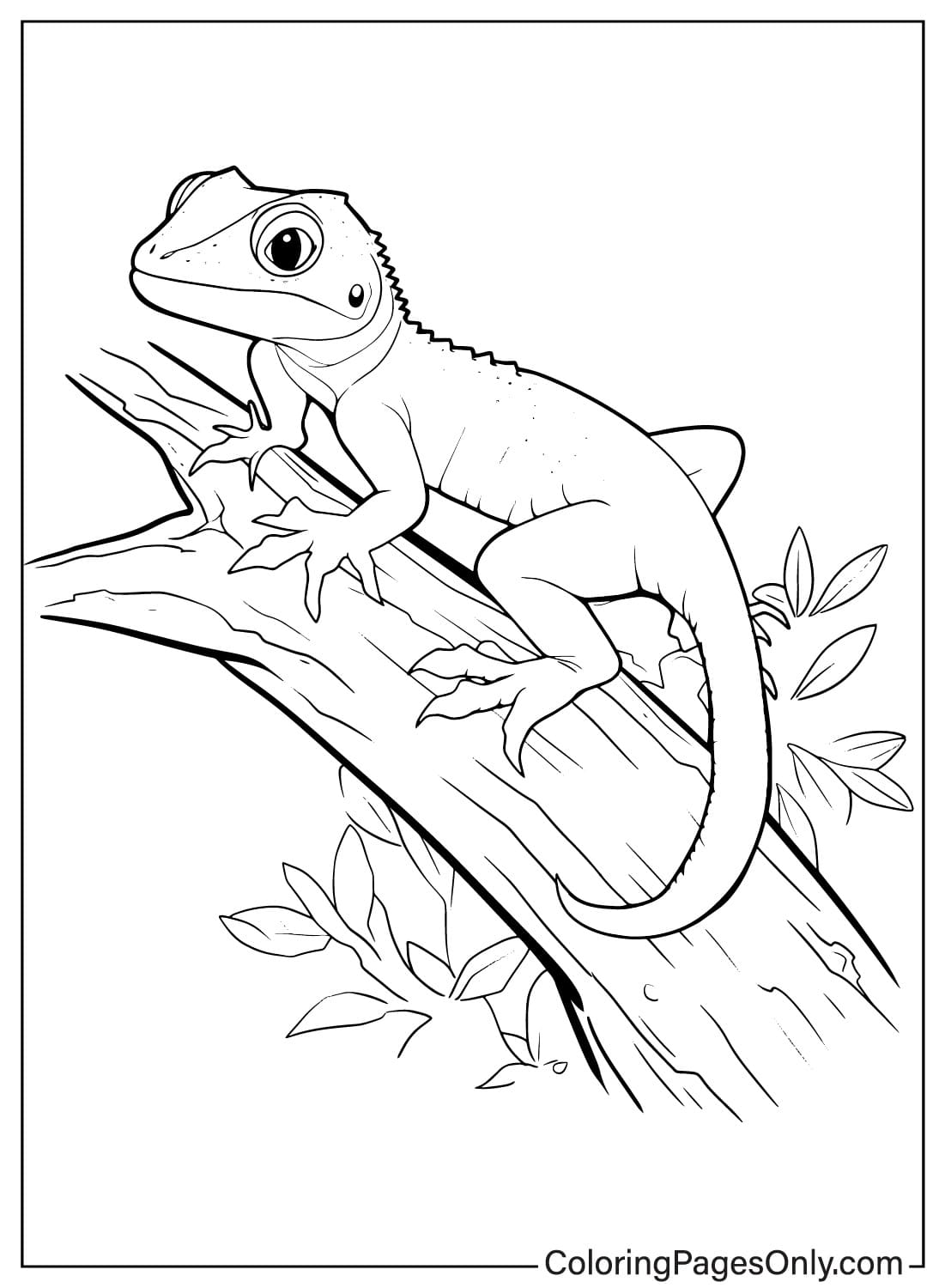 Página para colorear de lagarto imprimible de Lizard