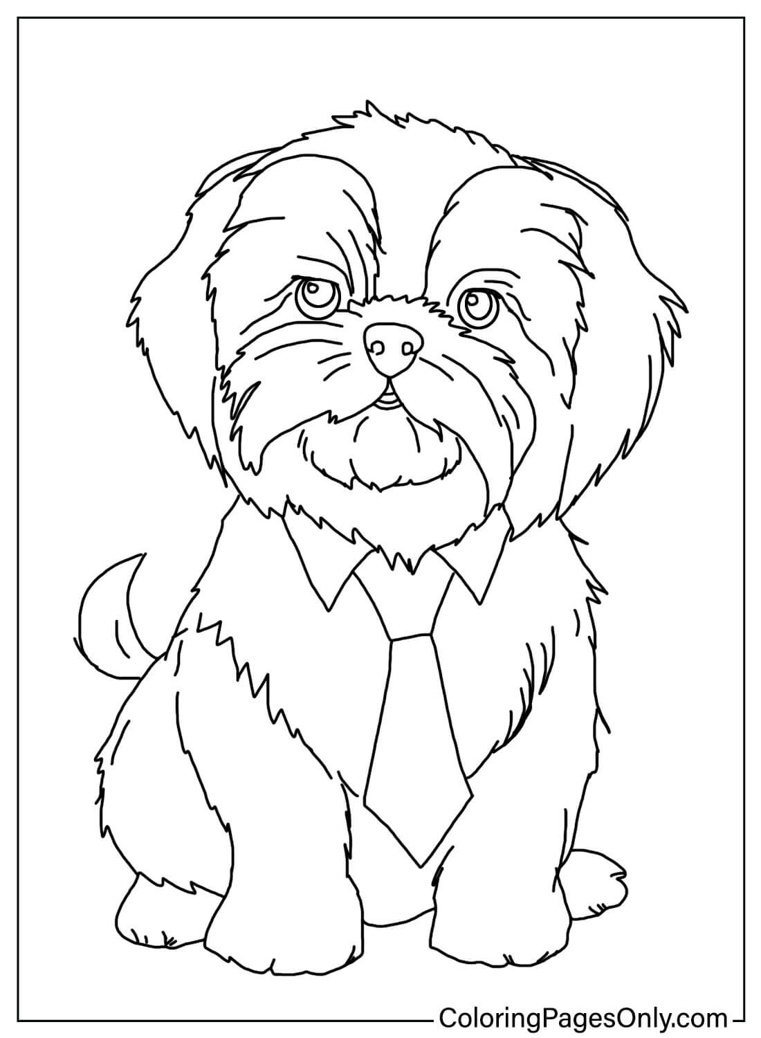 Printable Shih Tzu Coloring Page from Shih Tzu
