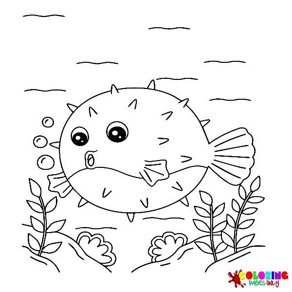 Coloriages Puffer