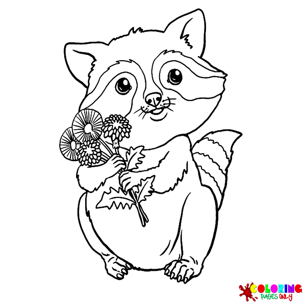 Raccoon Coloring Pages