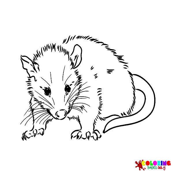 Dibujos de ratas para colorear
