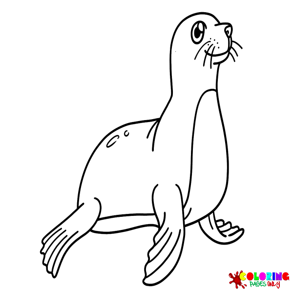 Seal Coloring Pages