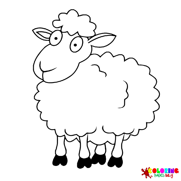 Sheep Coloring Pages