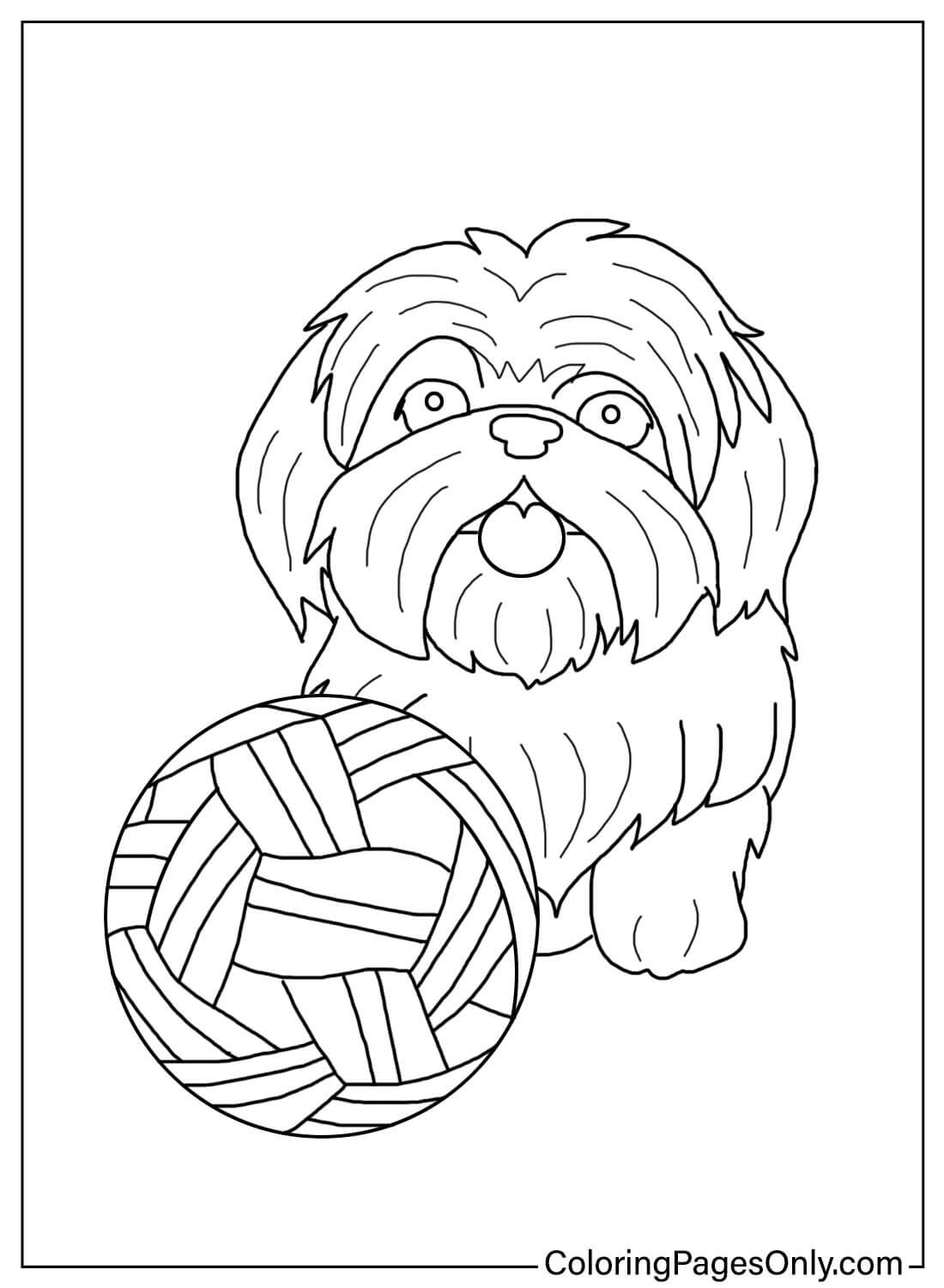 Shih Tzu Color Page from Shih Tzu