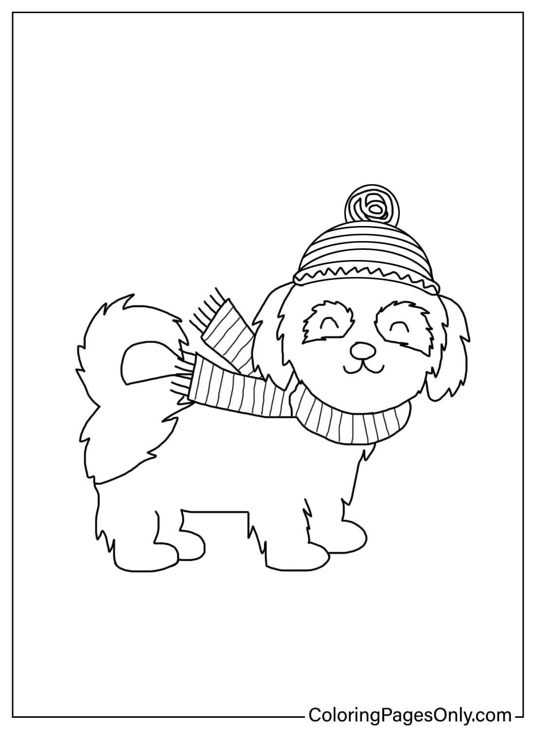 Shih Tzu Coloring Pages Printable from Shih Tzu