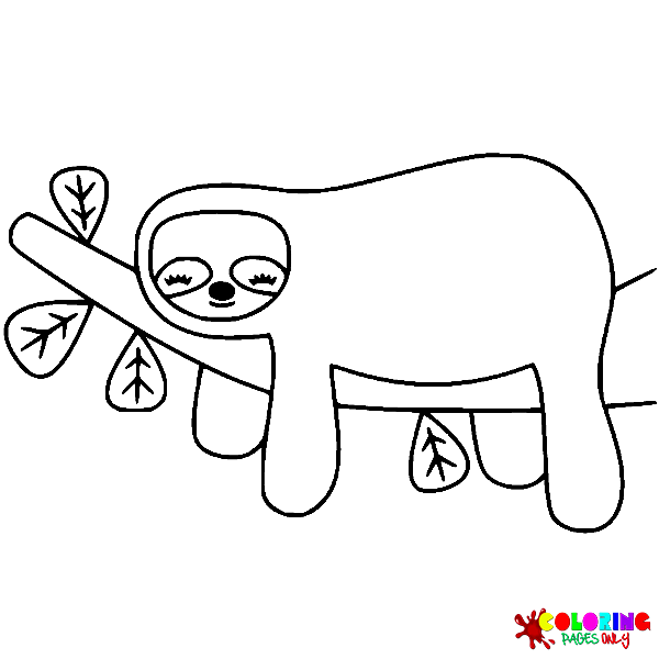 Sloth Coloring Pages