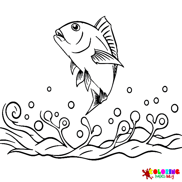 Snapper Coloring Pages