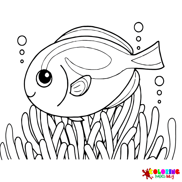 Desenhos para colorir de peixe Tang