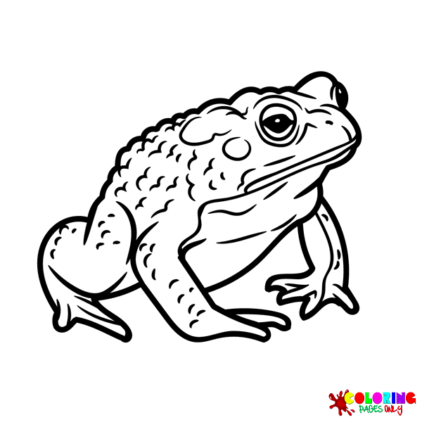 Раскраски жабы