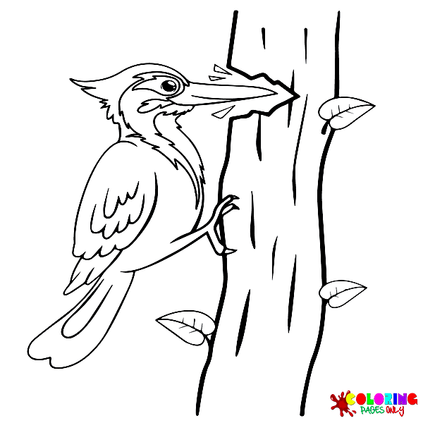 Woodpecker Coloring Pages