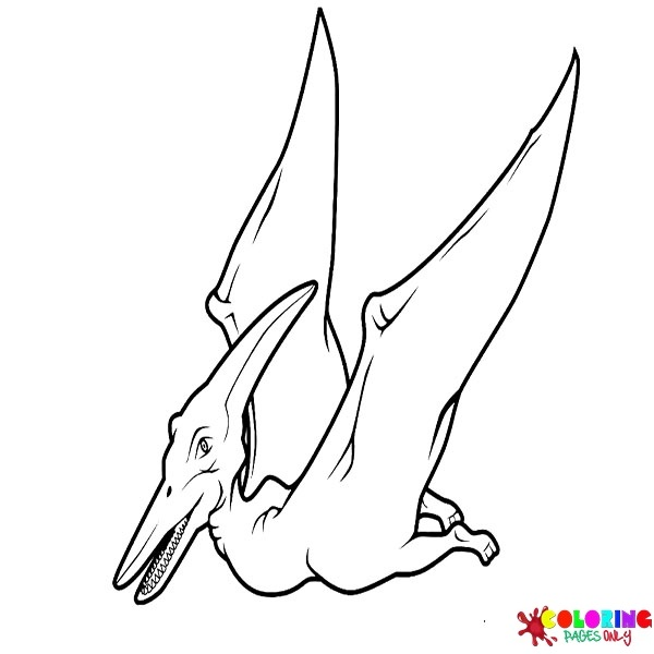 Páginas para colorir de pteranodontes