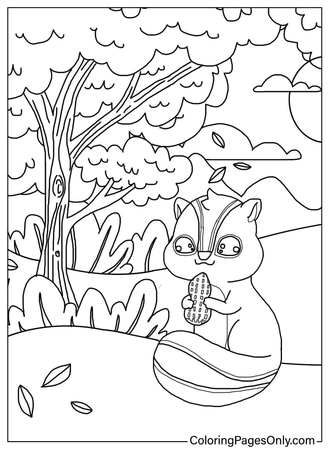 Chipmunk Coloring Page from Chipmunk