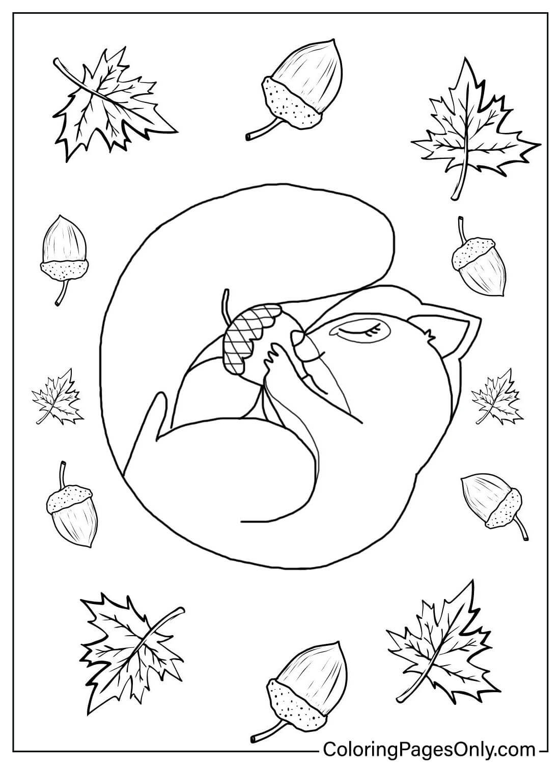 Coloring Page Chipmunk from Chipmunk