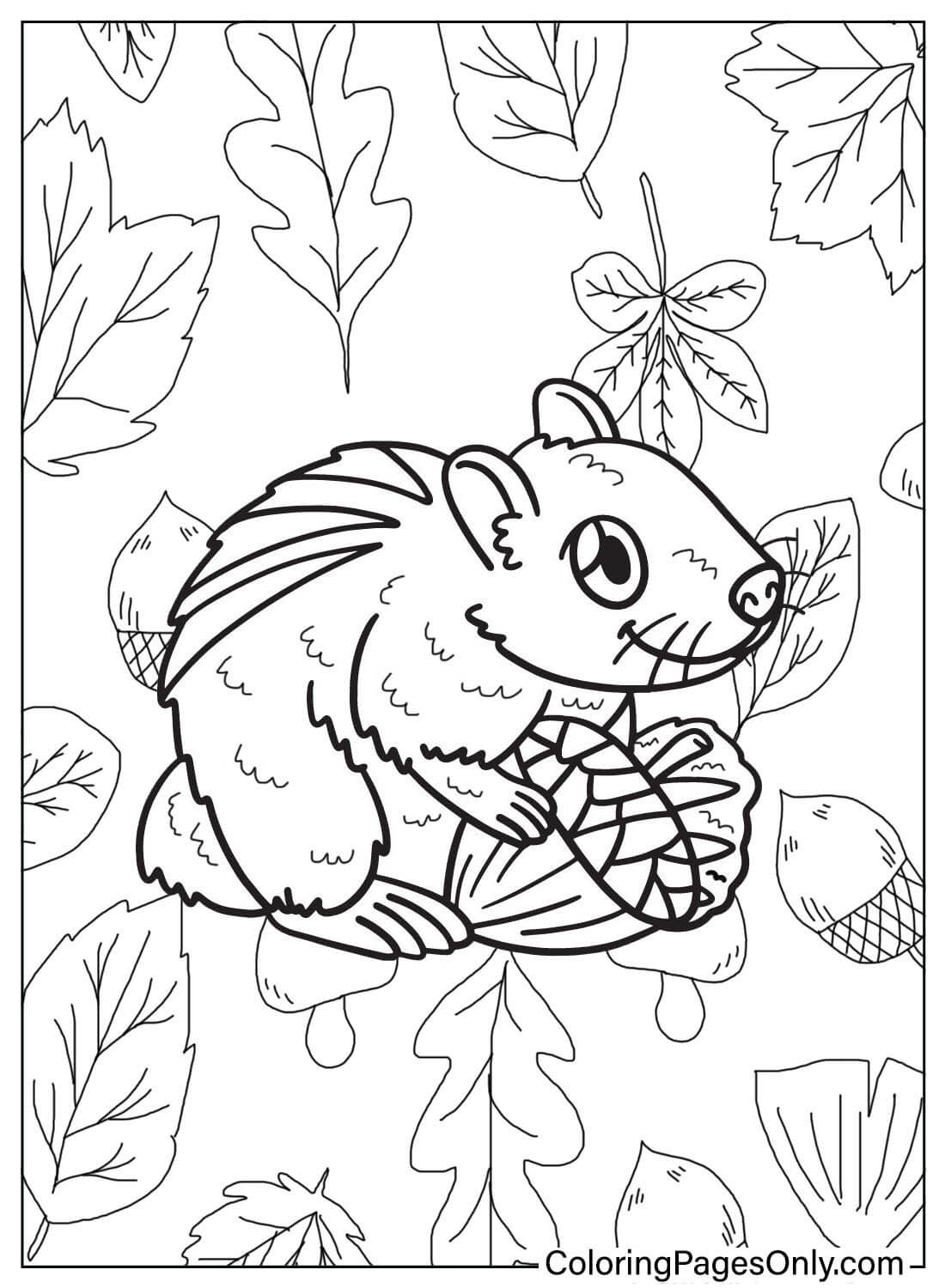 Free Chipmunk Coloring Page from Chipmunk