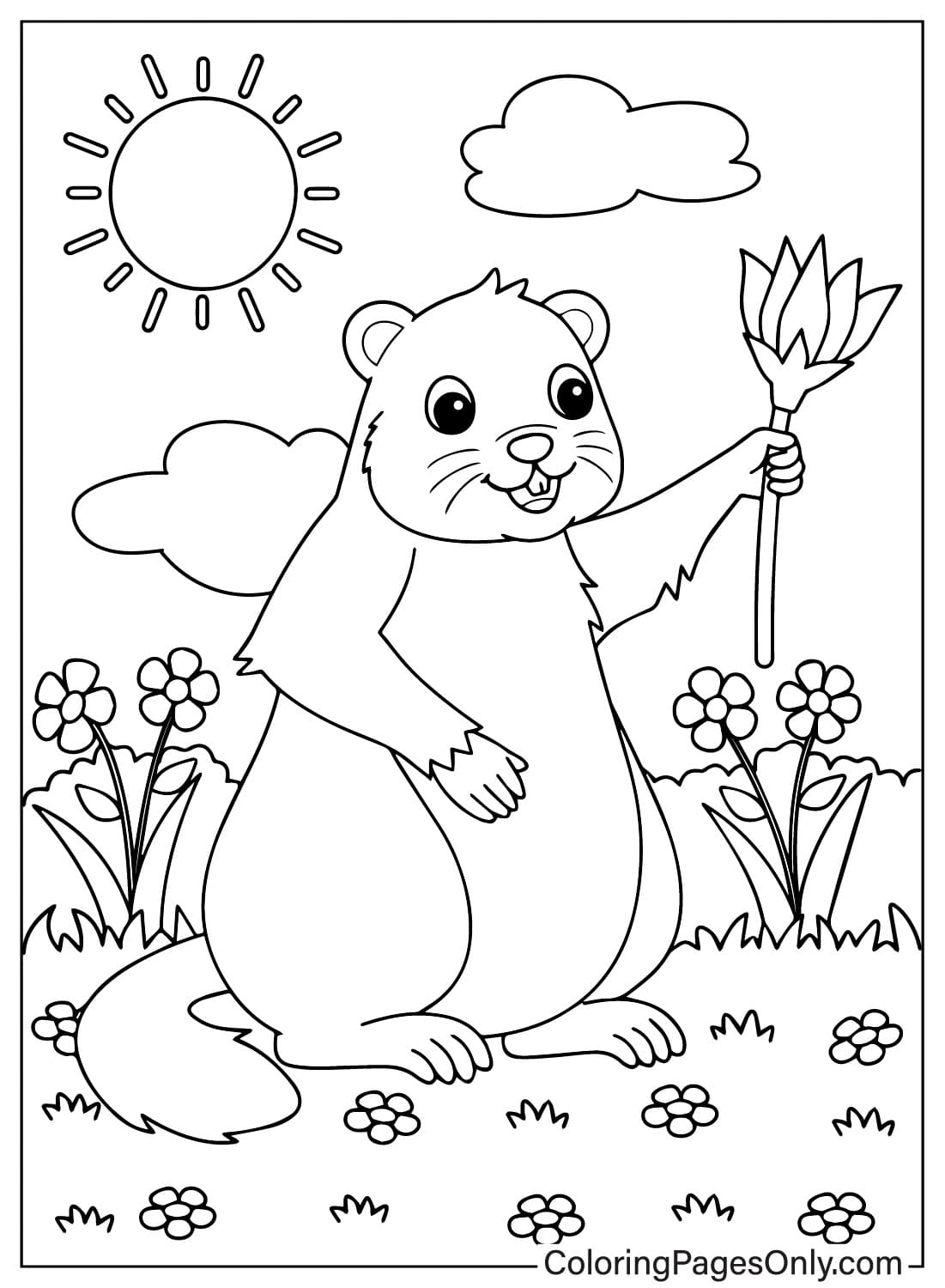 Página para colorear de la marmota del Día de la Marmota
