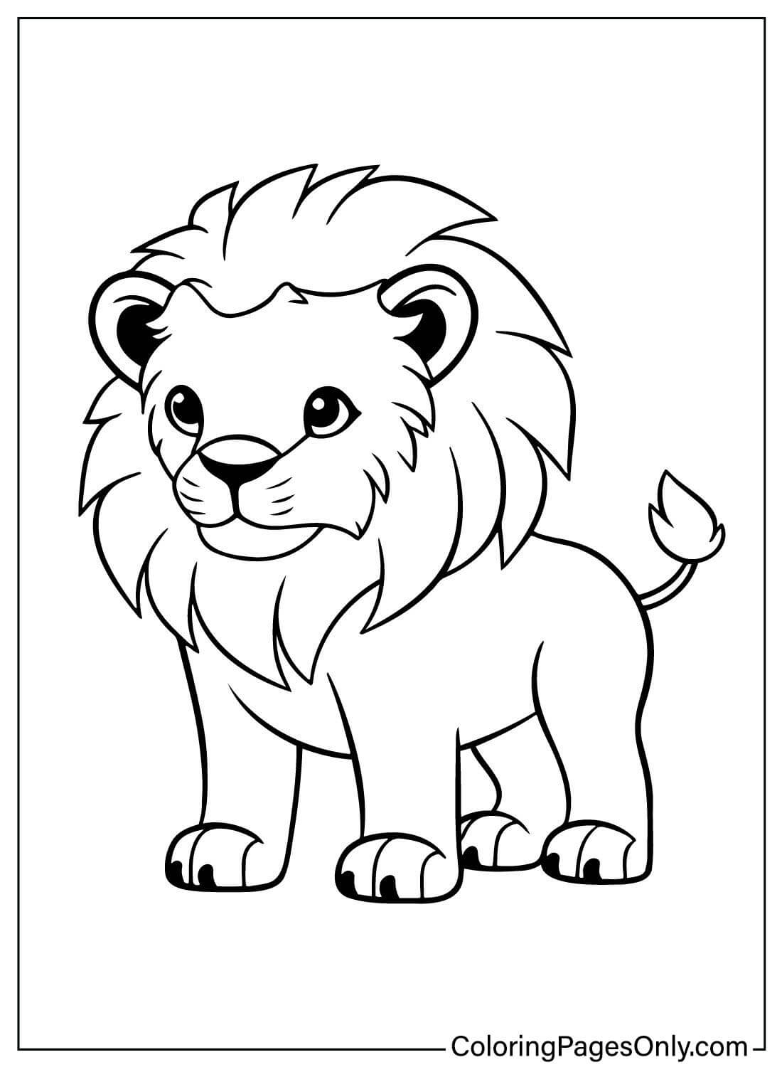 Lion Coloring Page Free from Lion