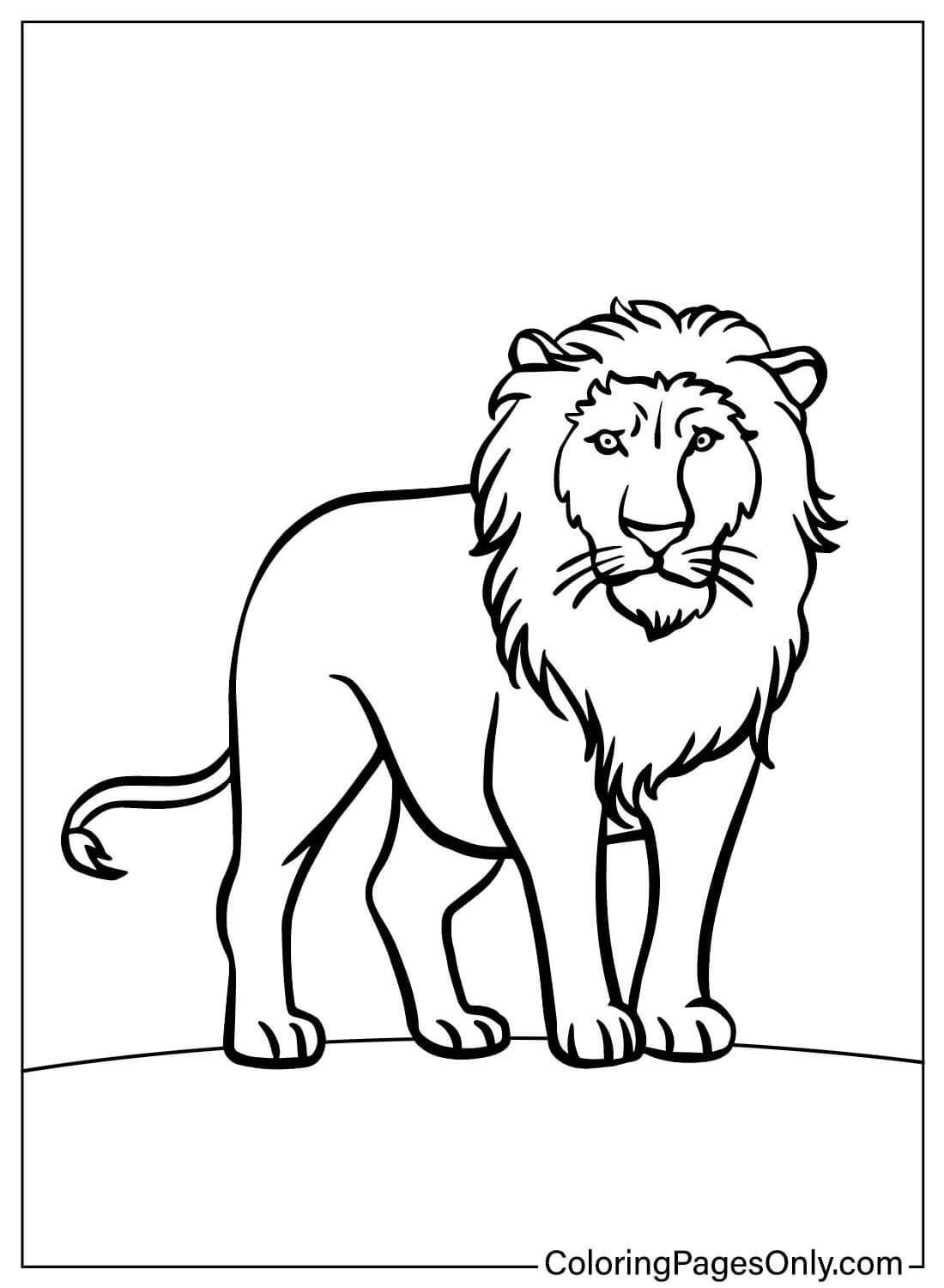 Página para colorir do Leão para impressão do Leão