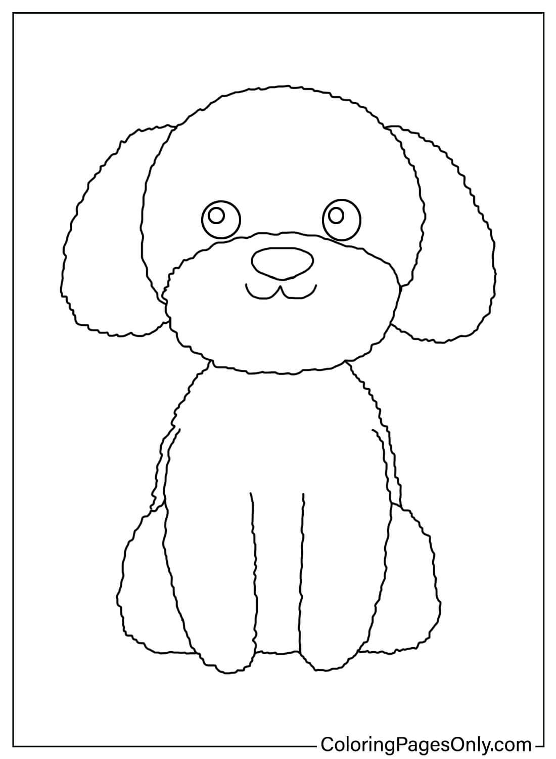 Раскраска Пудель для печати от Poodle
