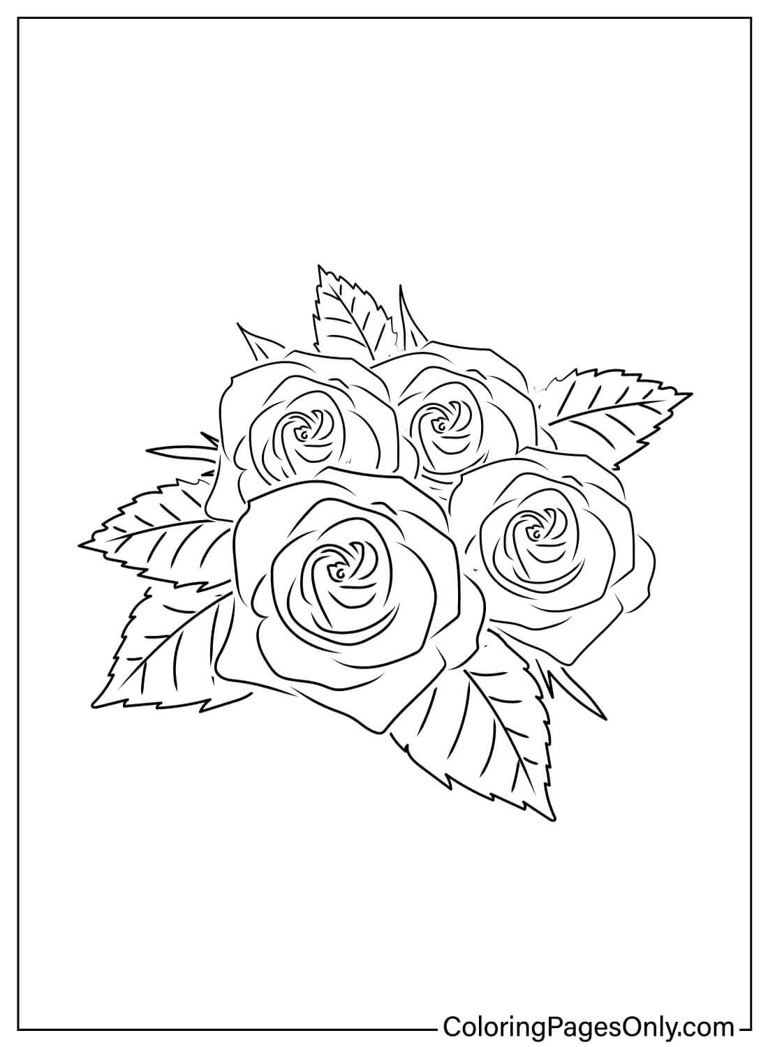 Afdrukbare roos kleurplaat van Rose
