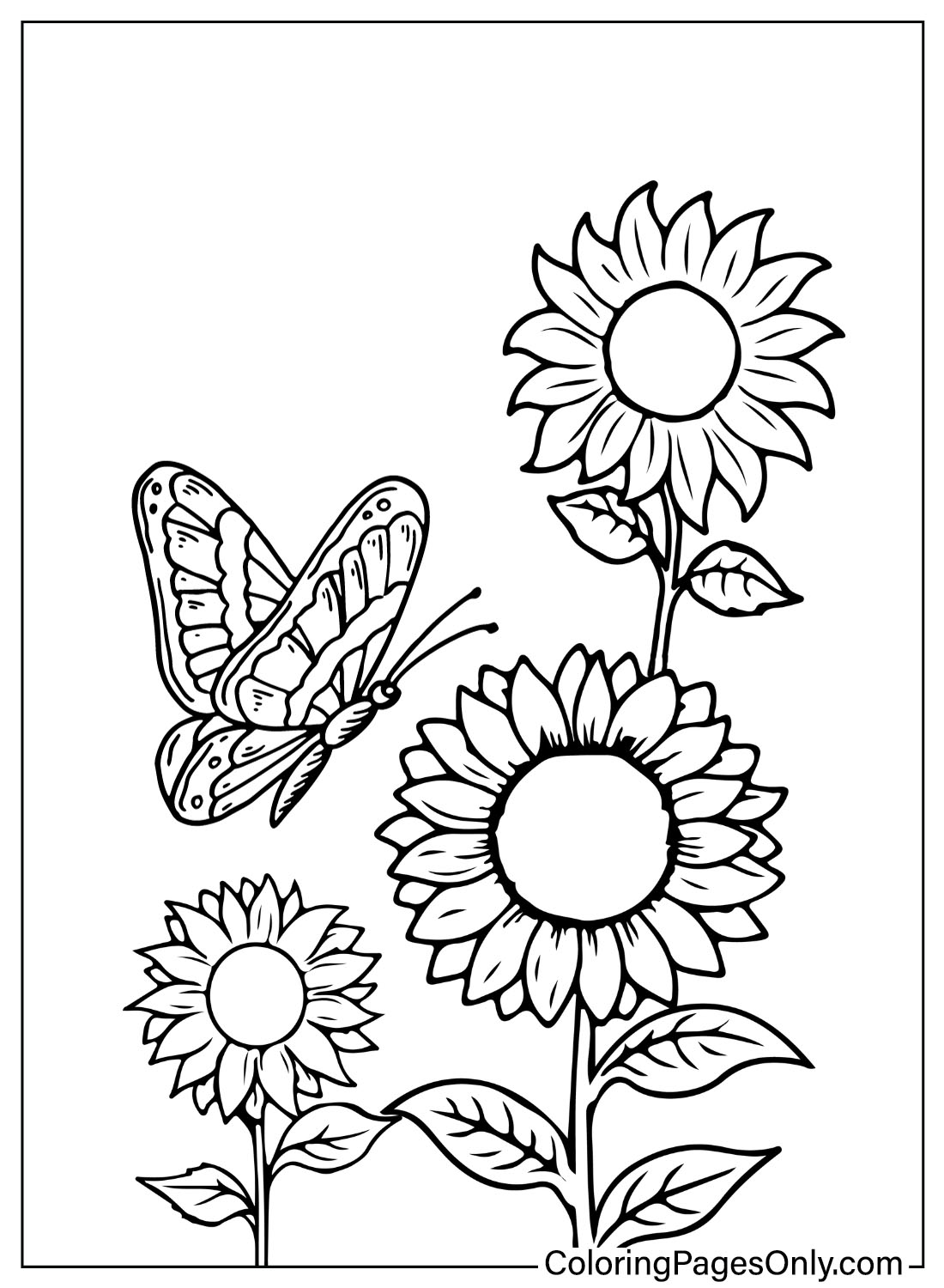 Libro da colorare di girasole di Sunflower