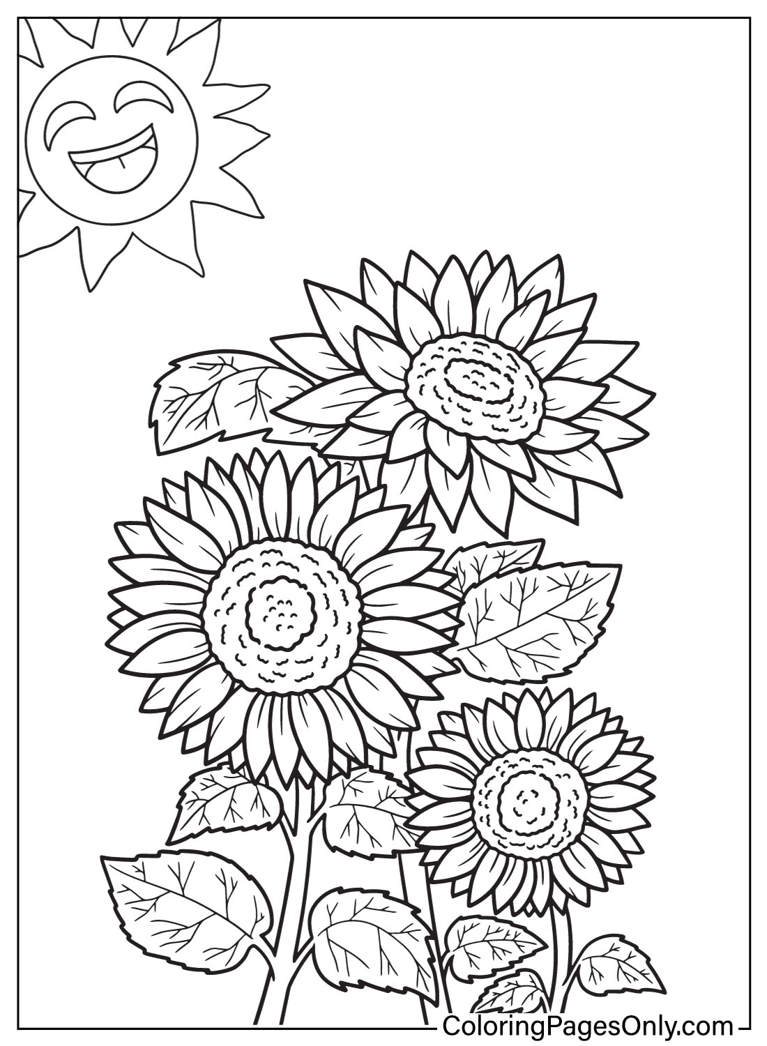 Fogli da colorare di girasole da Sunflower