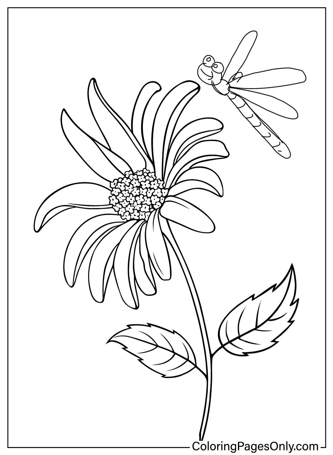 Sunflower Coloring To Print