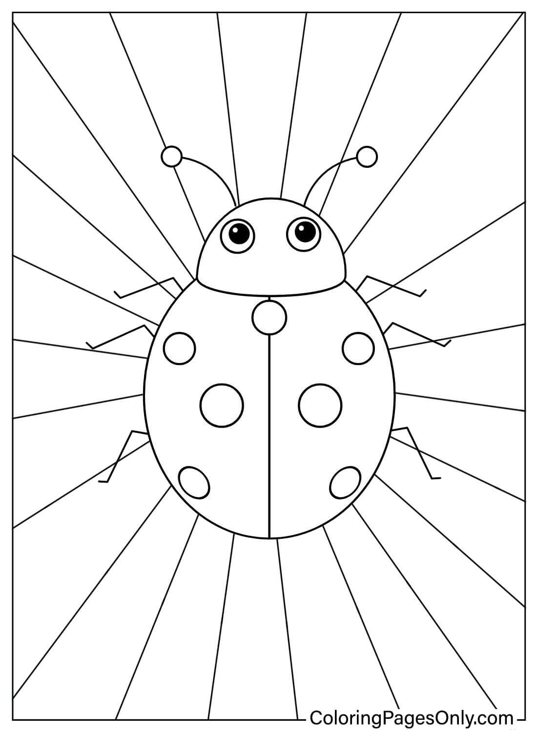 Página para colorear fácil de Ladybug de Ladybug