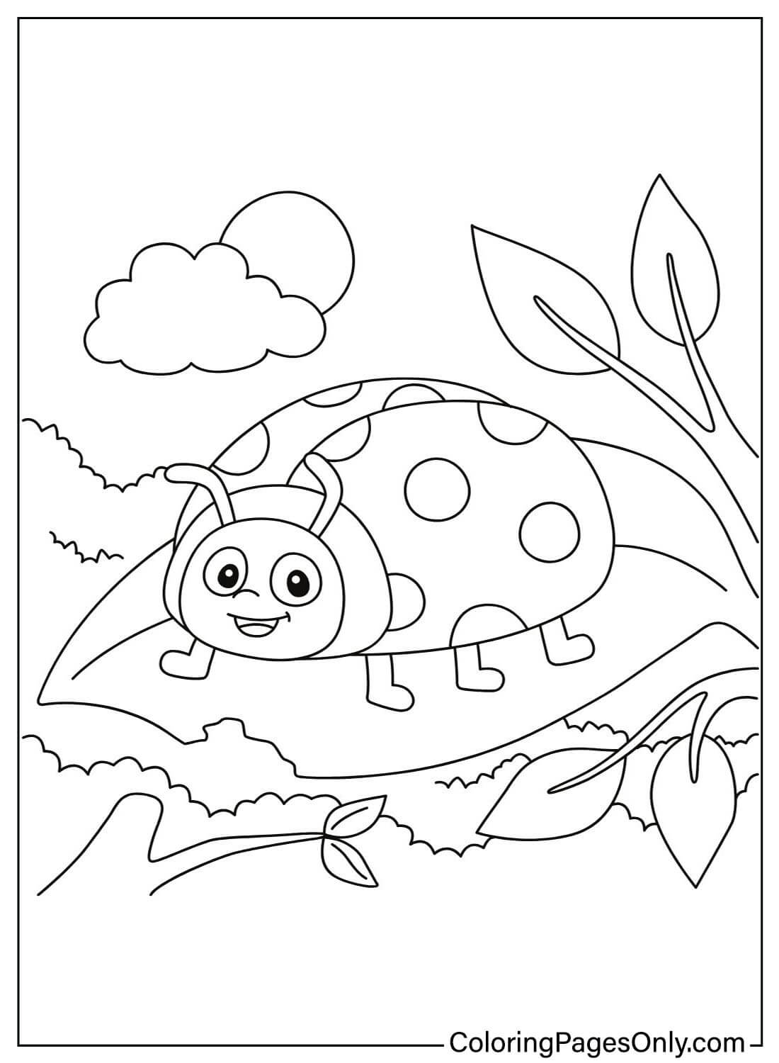 Libro da colorare di Ladybug di Ladybug