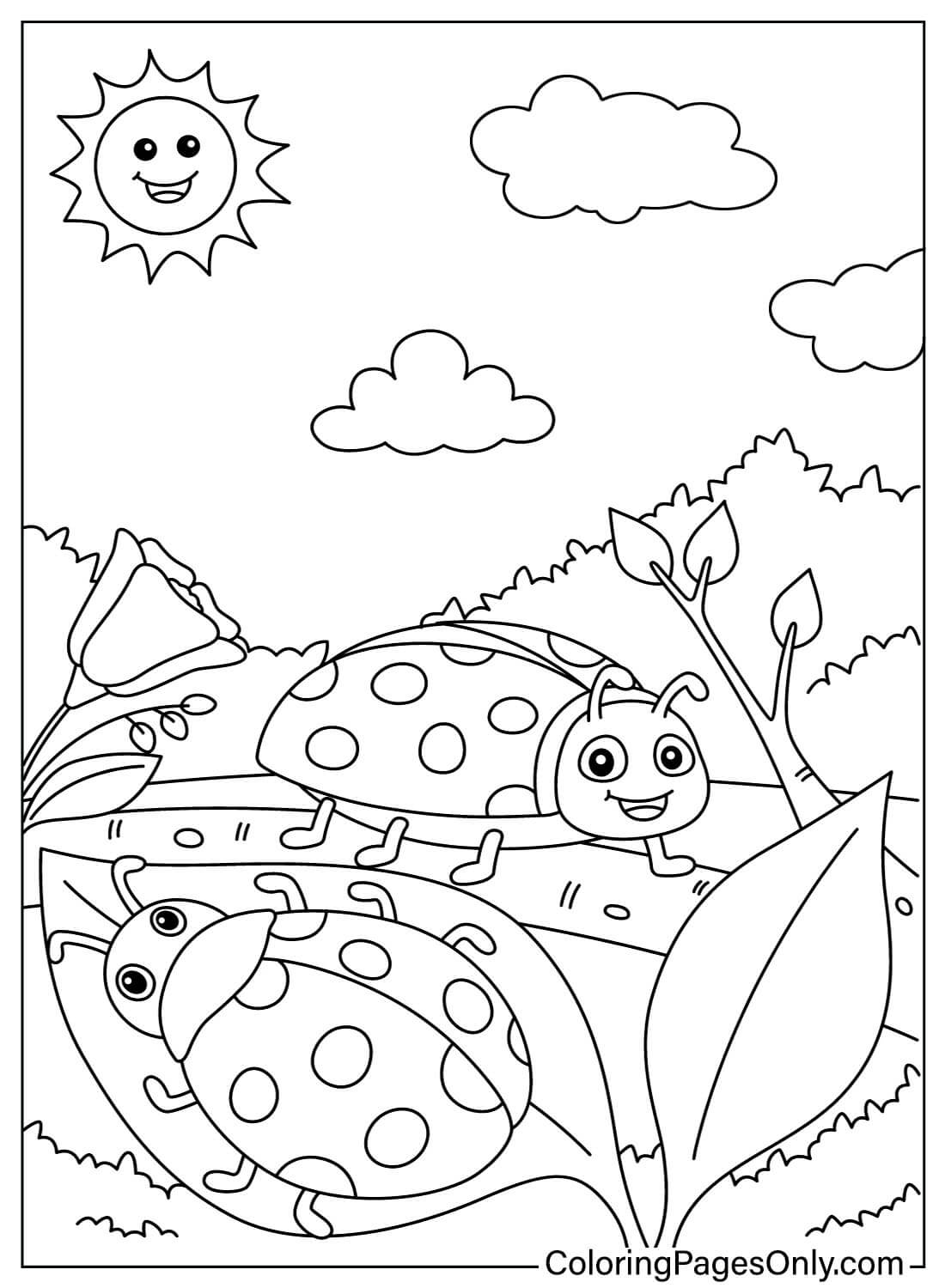 Pagina da colorare di coccinelle primaverili di Ladybug