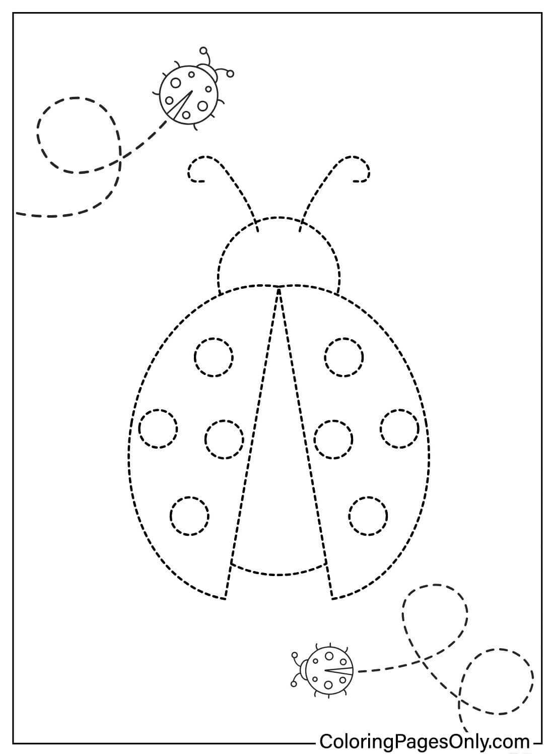 Ausmalbilder Marienkäfer von Ladybug nachzeichnen