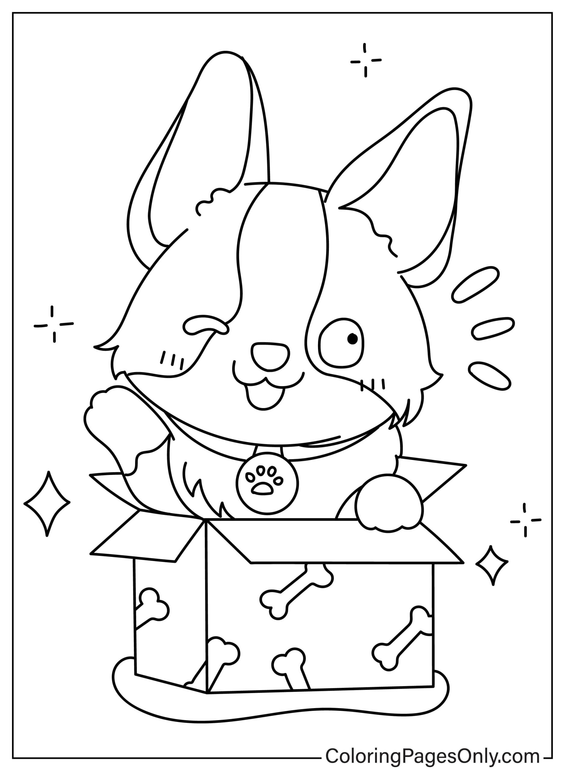 corgi-in-gift-box-free-printable-coloring-pages