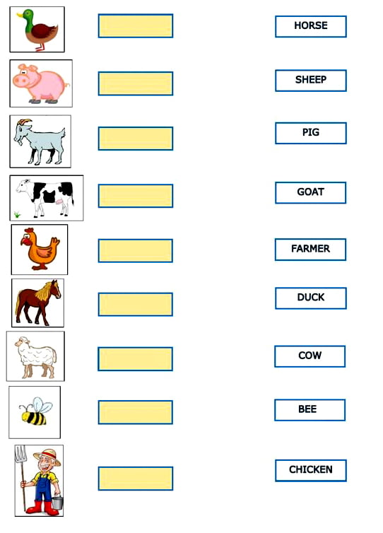 Creating animal name tags