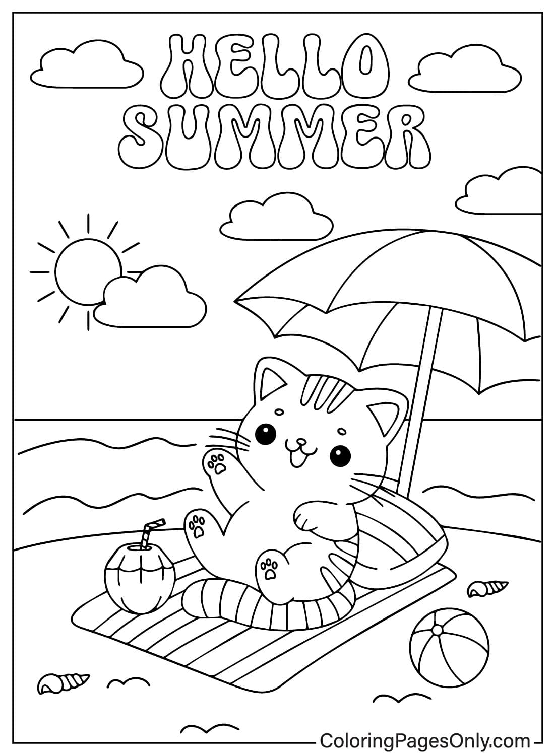 Lindo gato en la playa de verano