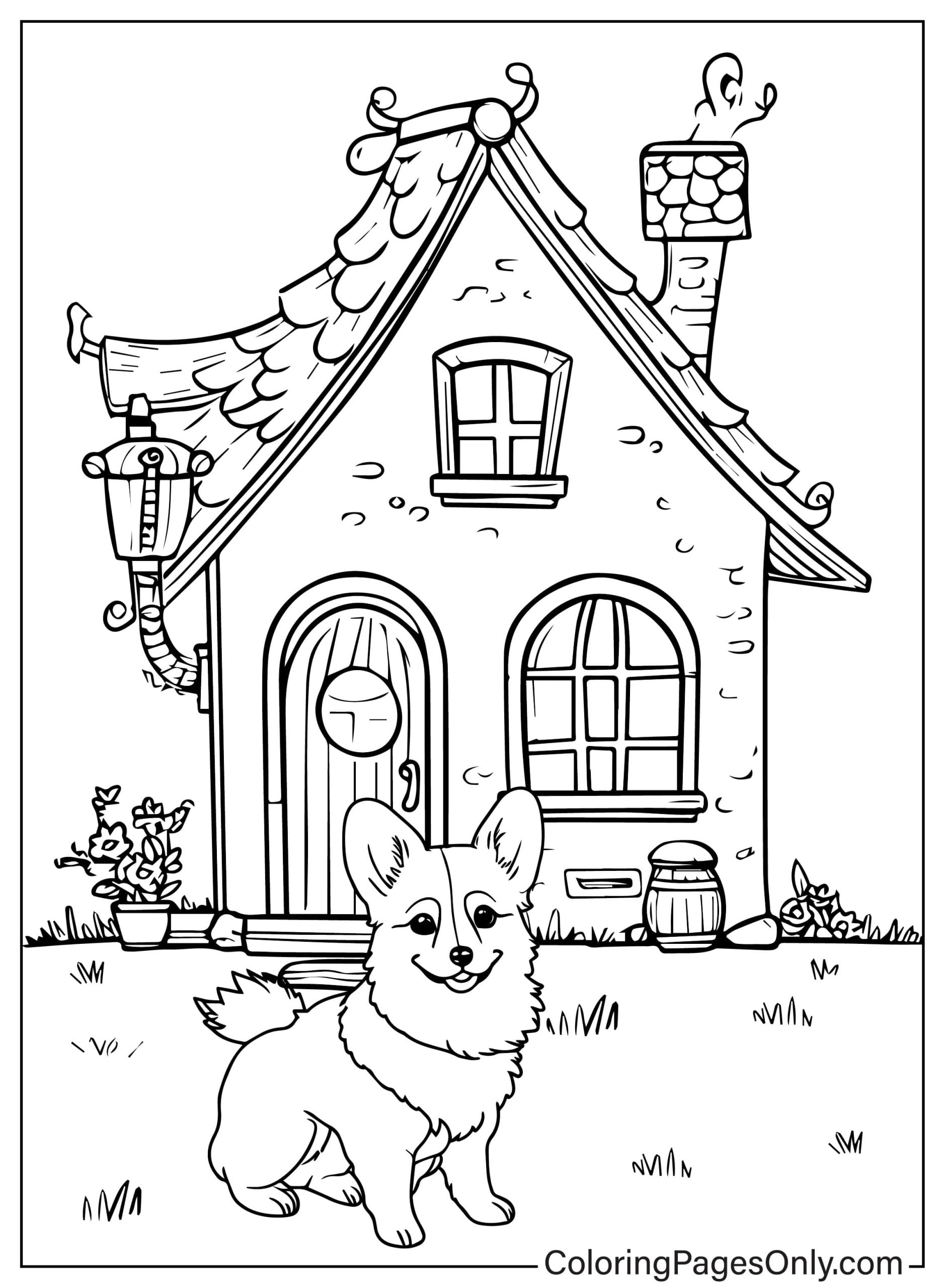 Der kleine Corgi-Hund sitzt glücklich da und bewacht das Haus vor Corgis