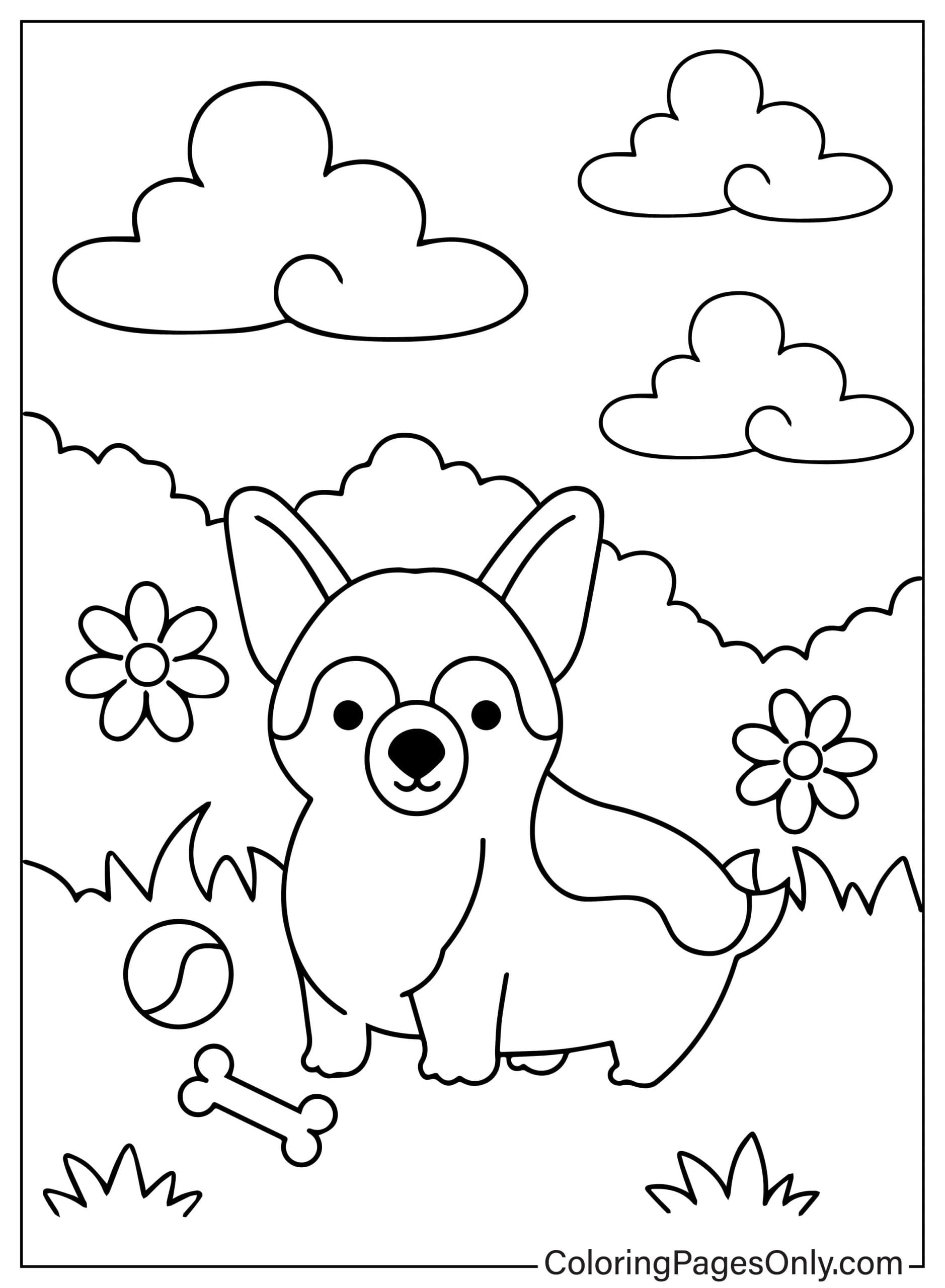 Little Corgi with His Toys in the Flower Garden from Corgi