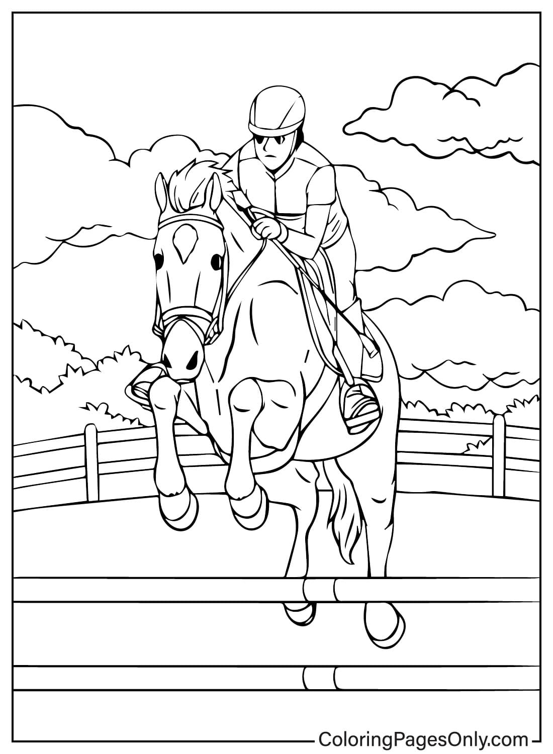 Mann reitet auf einem Pferd vom Kentucky Derby