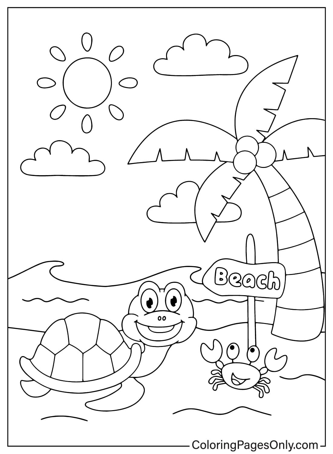 السلاحف والسرطانات يستمتعون على الشاطئ من الصيف