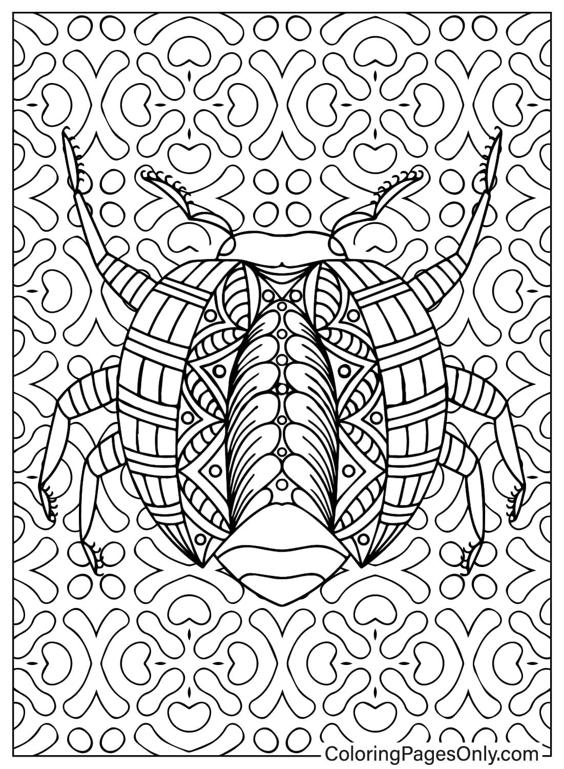 Mandala Bug - Free Printable Coloring Pages