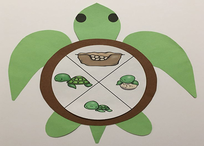 turtle coloring pages craft 1