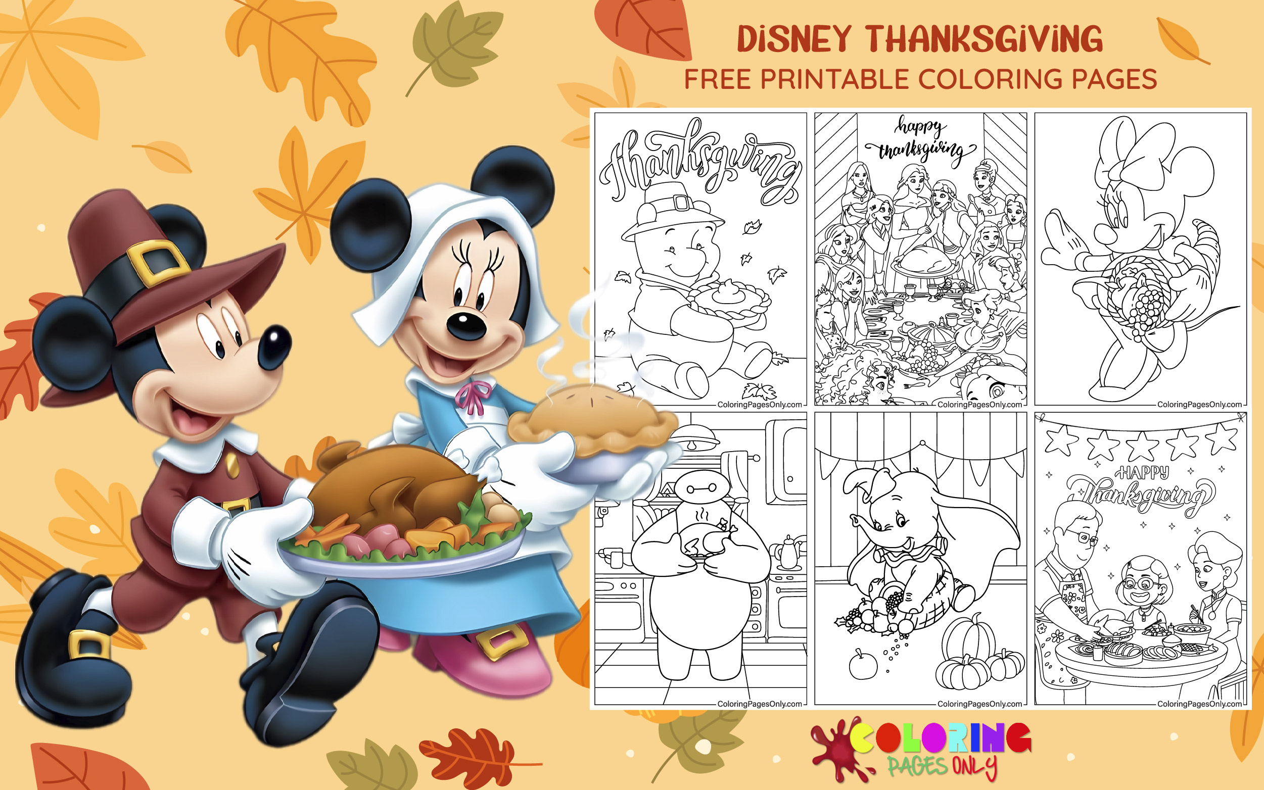 Disney Thanksgiving