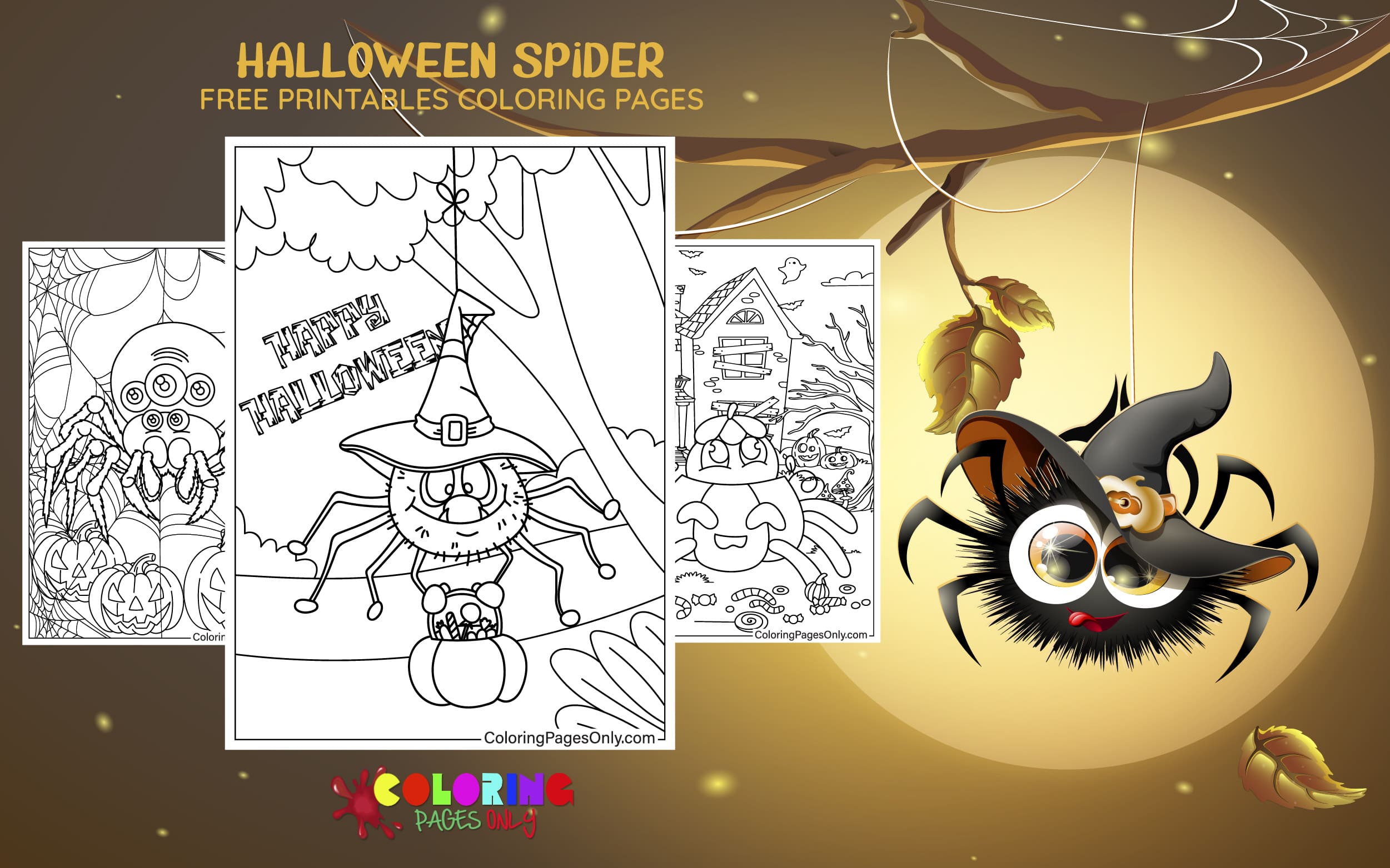 Halloween Spider