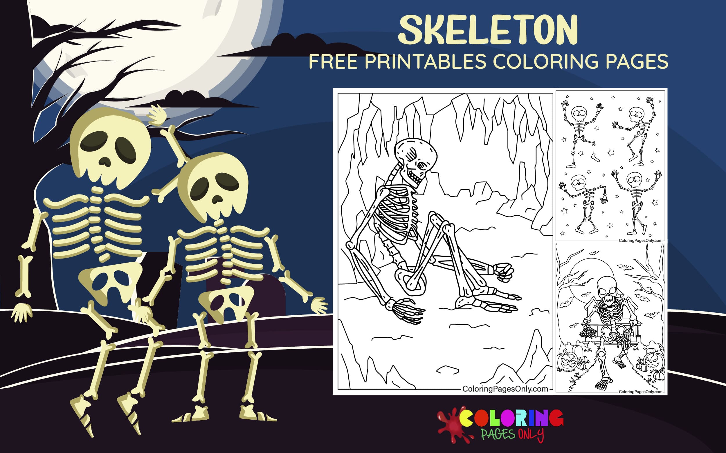 Skeleton