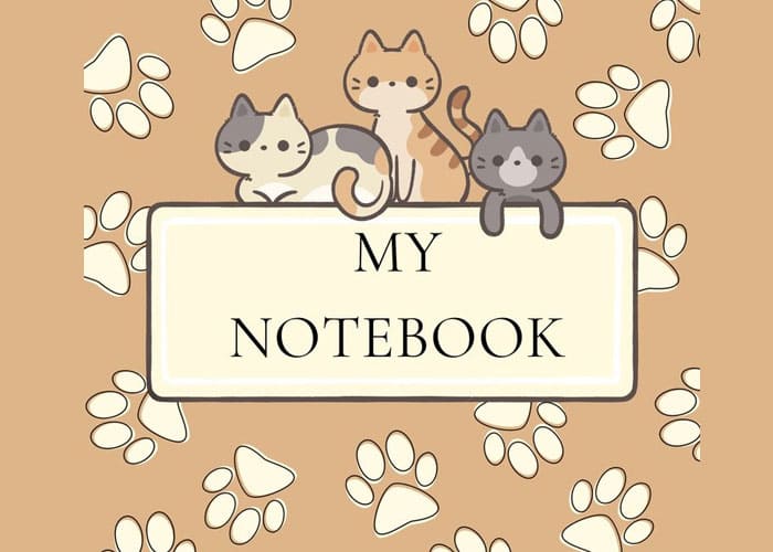 Creating a Notebook