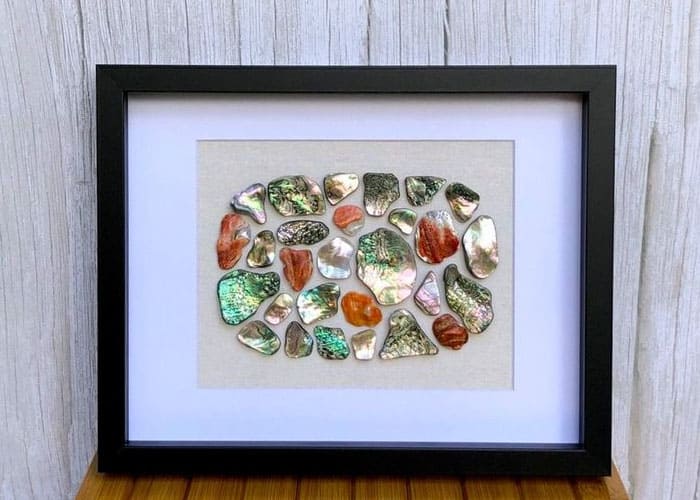 Abalone Art Collection