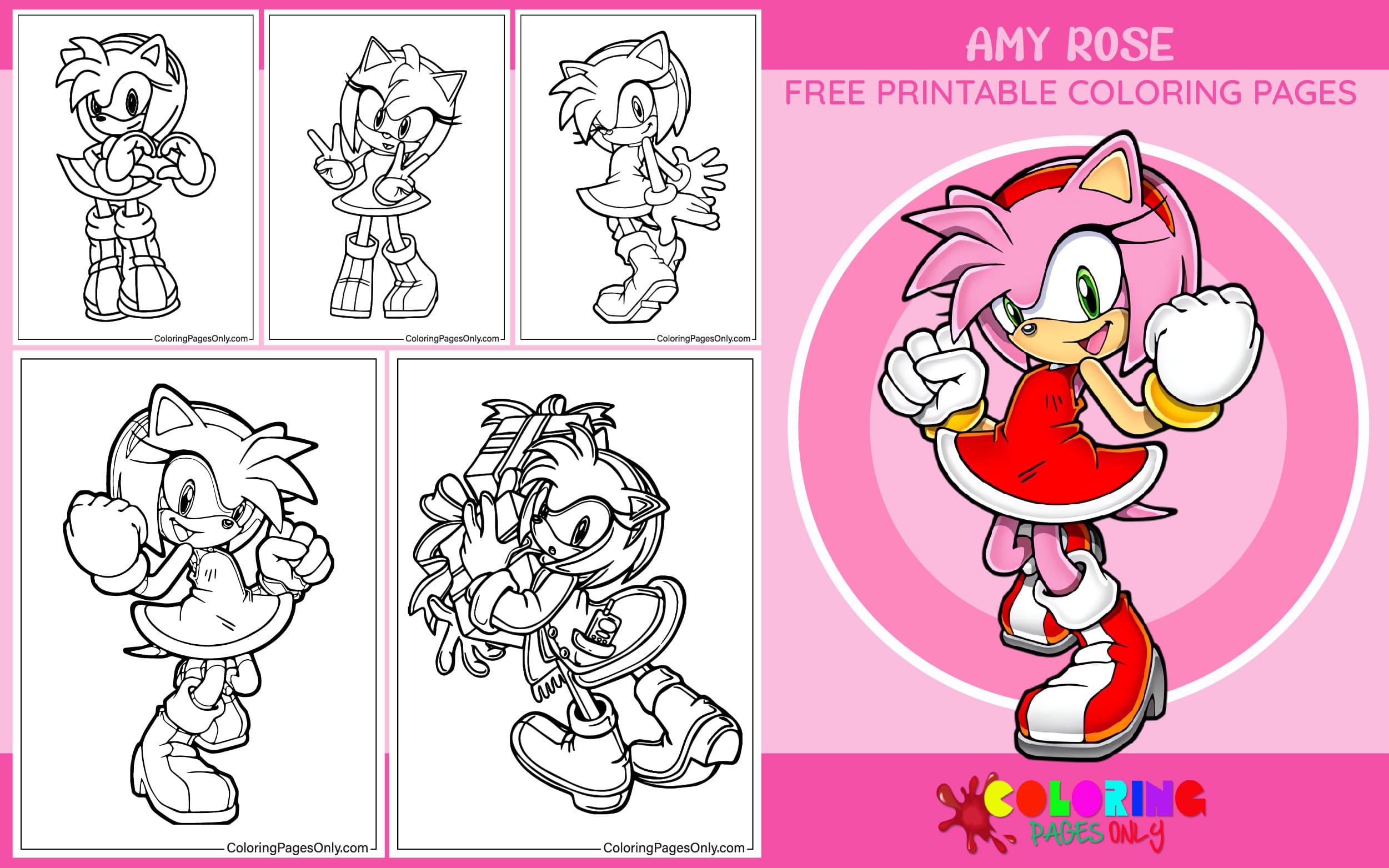 Amy Rose