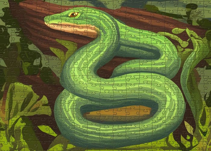 Anaconda Puzzle Fun