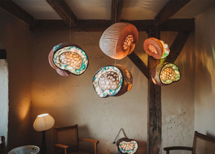 Decorative Abalone Paper Lanterns