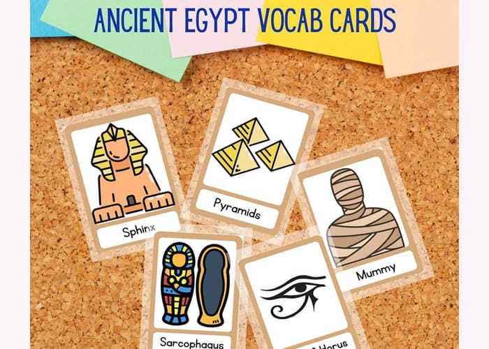 Educational Flashcards