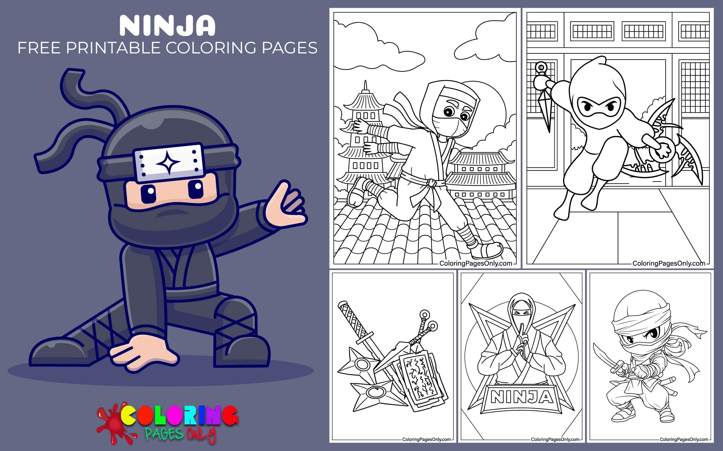 Ninja